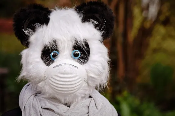 Unibet Cazino Cazinou Suport